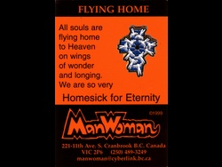 Flying Home Pin