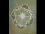 Hallowed By Thy Name Poster