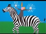 Two Diamonds Make A Zebra Print