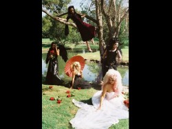 Dark Picnic 1