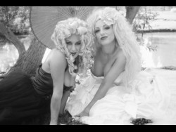 Dark Picnic 2