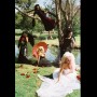 Dark Picnic 1