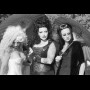 Dark Picnic 3