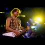 Scorpions Print 5
